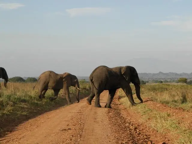 16-Days-Uganda 16-Days-Uganda