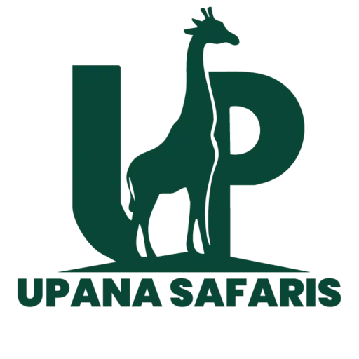 cropped-Upana-safaris-logo-25-01-1.webp cropped-Upana-safaris-logo-25-01-1.webp